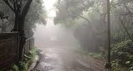 महाबळेश्वरमध्ये दमदार पावसाची हजेरी; नागरिकांना दिलासा महाबळेश्वरमध्ये दमदार पावसाची हजेरी; नागरिकांना दिलासा